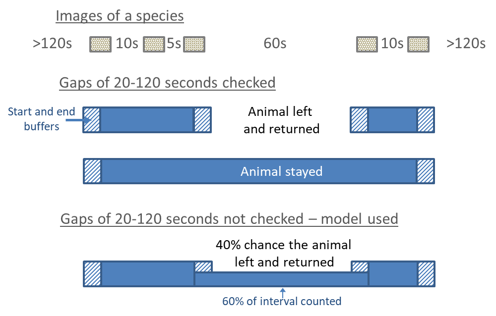 Illustration of how sequential individual images are converted to series, and how the species' total time in the field-of-view is calculated for each series, when we have directly examined gaps of 20-120 seconds (top) or not examined them and used probabilistic model instead (bottom).