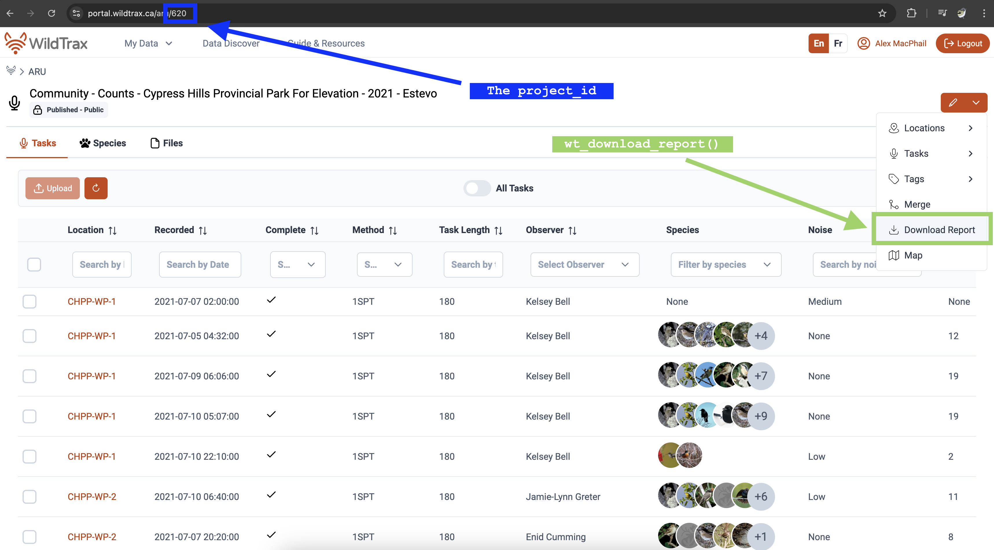 Project dashboard for downloading reports
